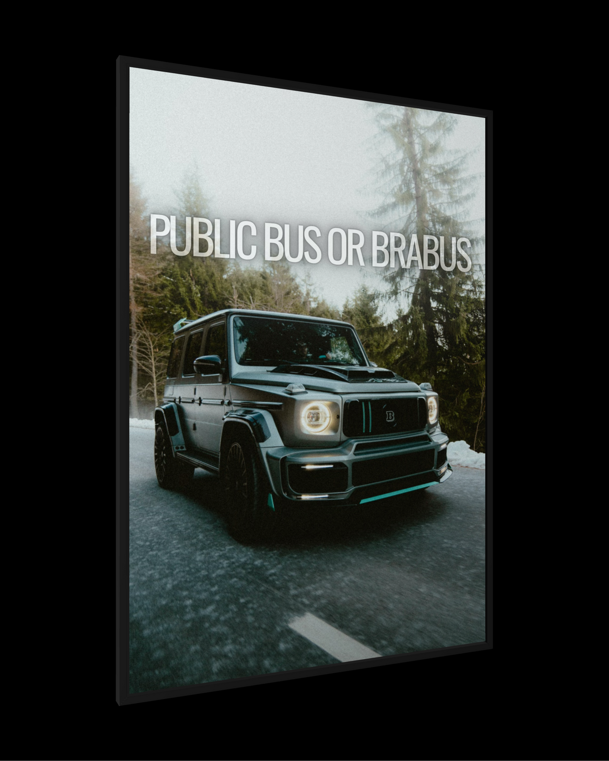 PUBLIC BUS OR BRABUS