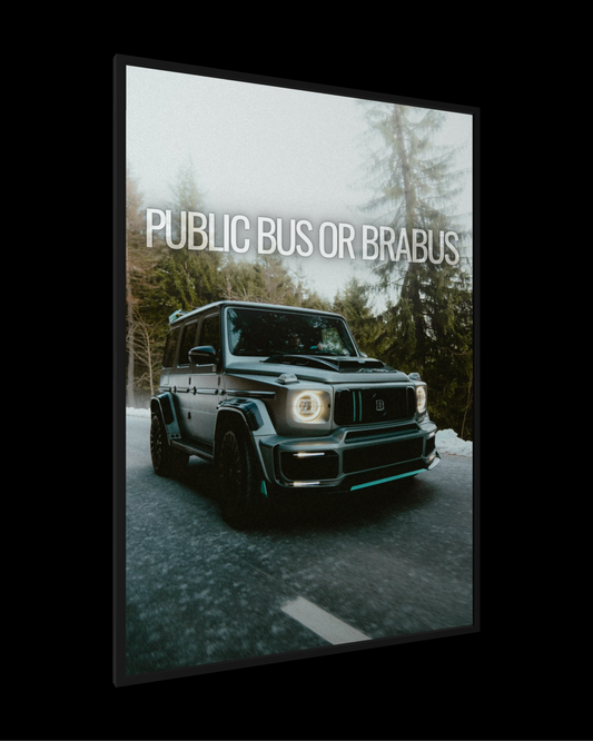 PUBLIC BUS OR BRABUS